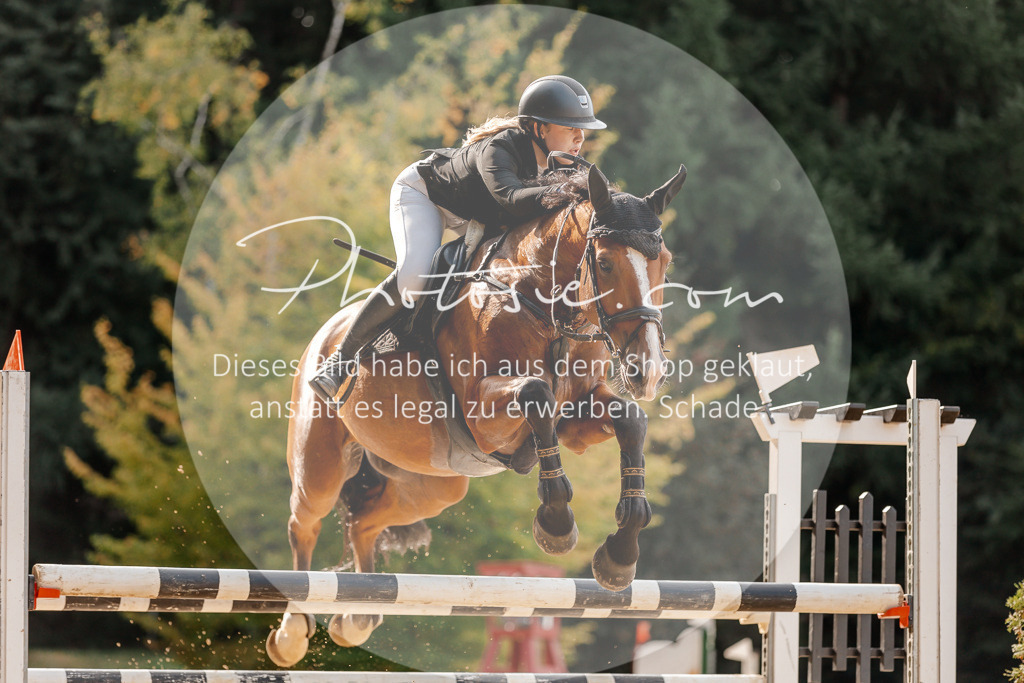 3I6A4782 | Stimmungsvolle Portraits und Reitsportfotografie im Ruhrgebiet und im Münsterland.

Pferdefotografie, Hundefotografie, Tierfotografie, Reportagen, Portraits von Tier und Mensch, Turnierfotografie in Bochum, Recklinghausen, Marl, Haltern am See, Dülmen.. - Realisiert mit Pictrs.com