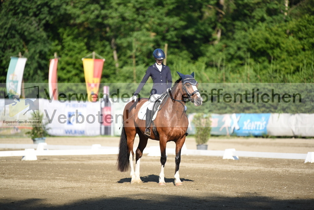 DSC_6834 | equestrian-live-com