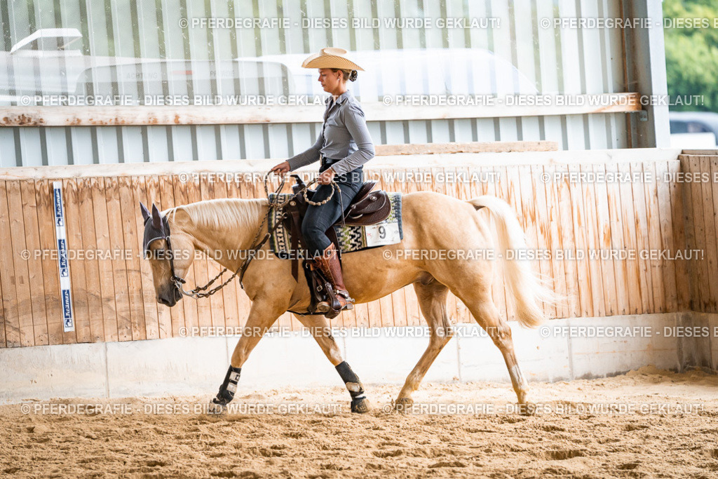 DSC00604 | Pferdegrafie