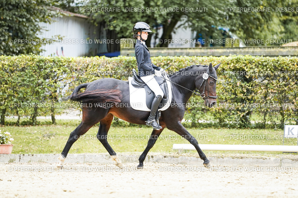 DSC09519 | Pferdegrafie