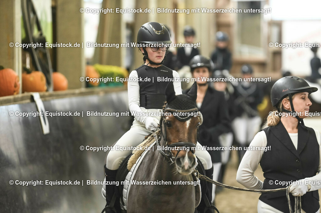 20231029_Führzügel-WB_Abteilung-01_0057 | Foto: Thomas Hartig
