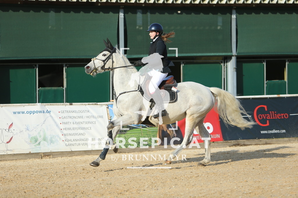 DL2Q4355 | Willkommen bei Brunnmayr - Design & Fotografie – Ihrem Spezialisten für Reitturniere und Pferdeveranstaltungen in Oberösterreich, Salzburg und Bayern! Seit über 17 Jahren sind wir leidenschaftlich dabei.
