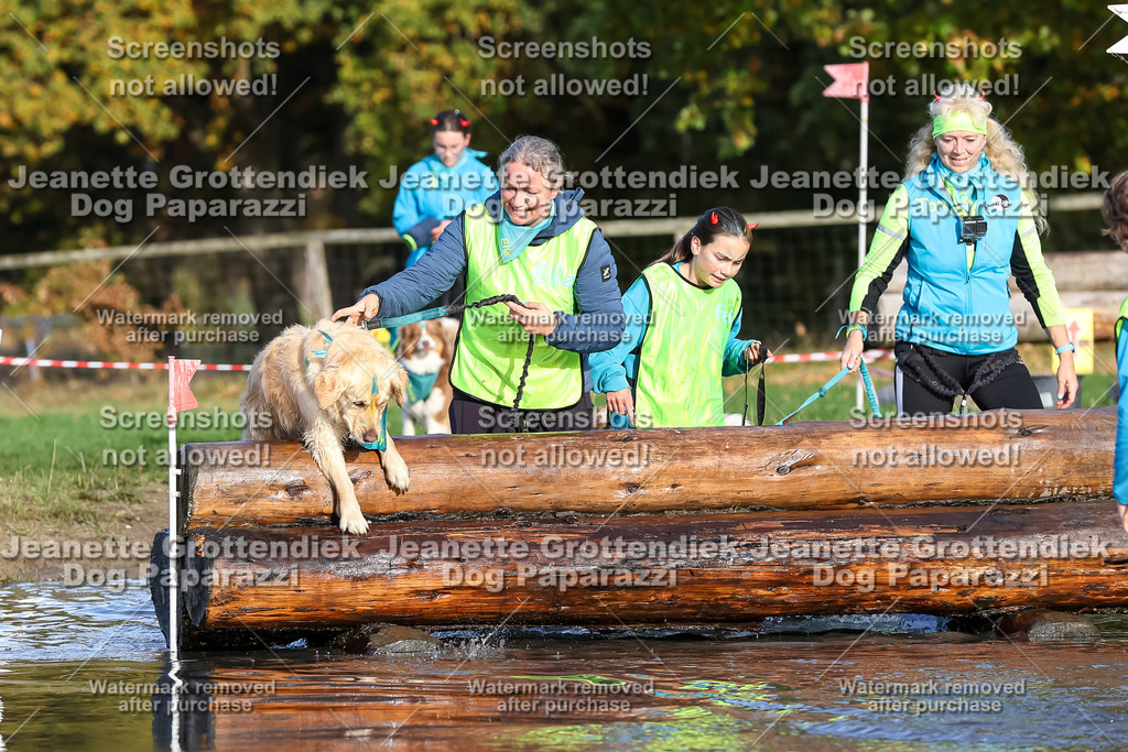 Dog Paparazzi - Strongdog 10-25-8464 | Dog Paparazzi Jeanette Grottendiek Fotografie & Videografie - Realisiert mit Pictrs.com