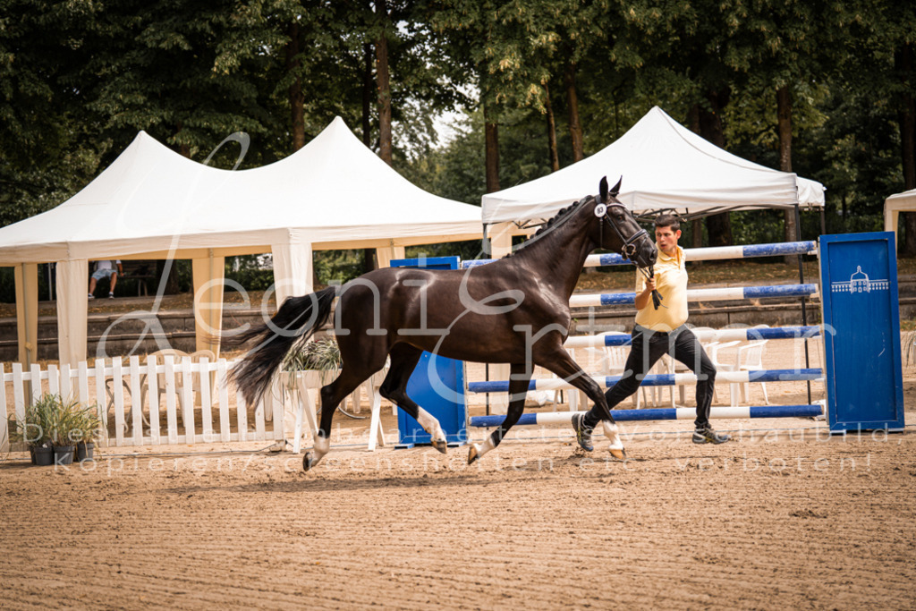 4.Fr00188 | Leoni Ertmer Photography - Realisiert mit Pictrs.com