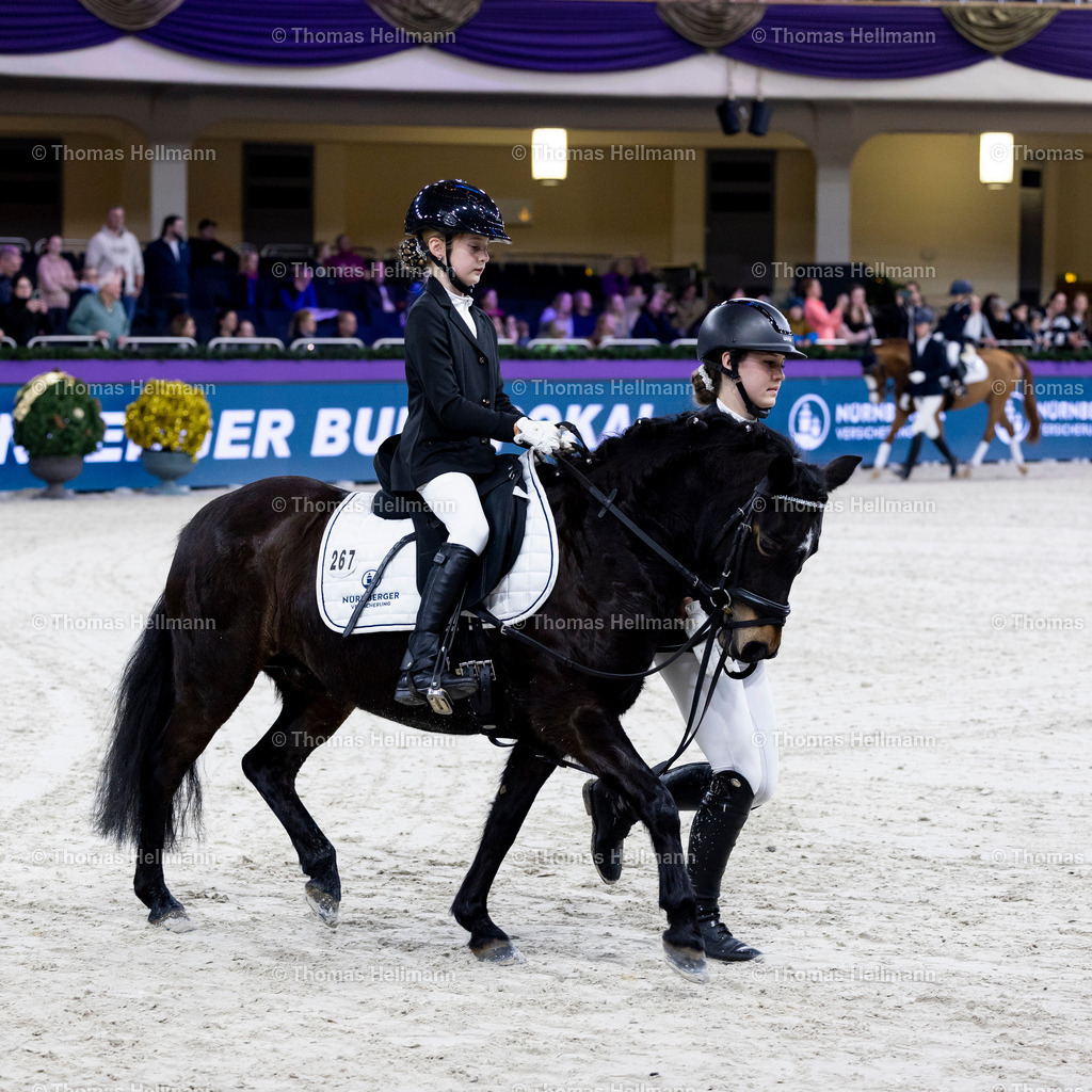 TH_Nürnberger Burgpokal Führzügelwettbewerb_13244 | Nürnberger Burgpokal Führzügelwettbewerb beim Festhallen Reitturnier Frankfurt 2023 am 15.12.23 in Frankfurt, Festhalle