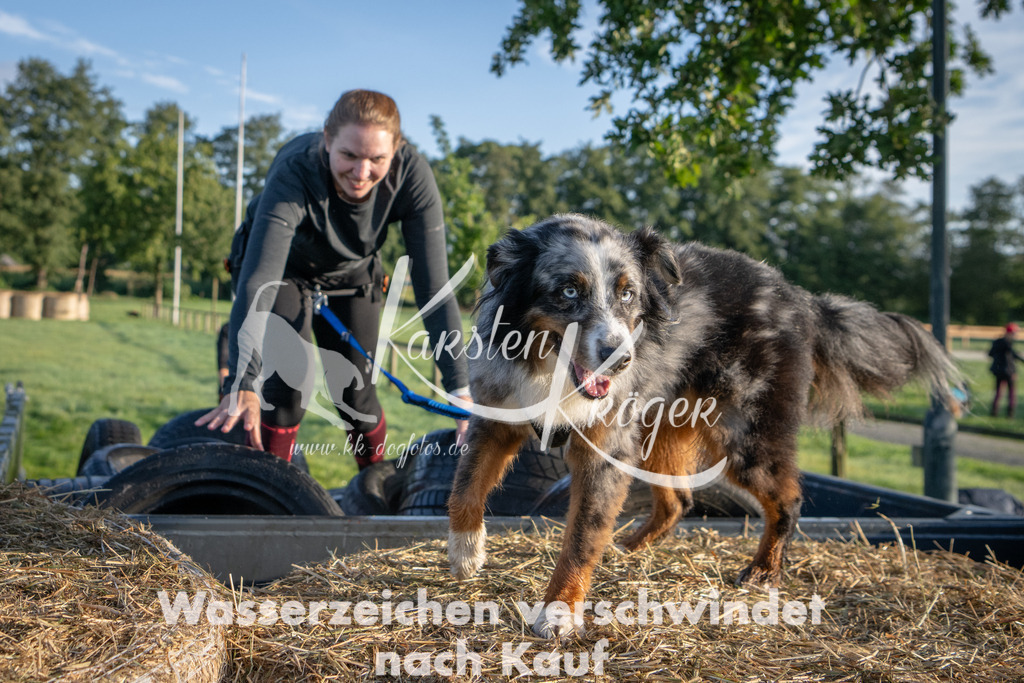 0826_ZZ91456 | kk-dogfotos