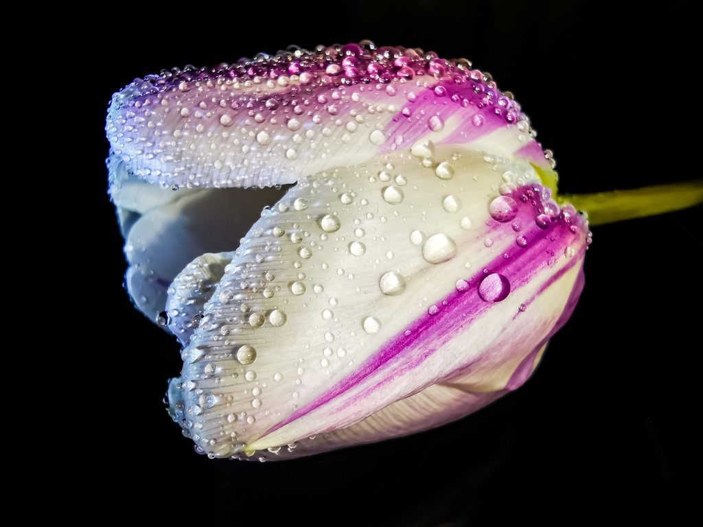 PSX_20230305_225520 | mtkfoto_ - Realisiert mit Pictrs.com