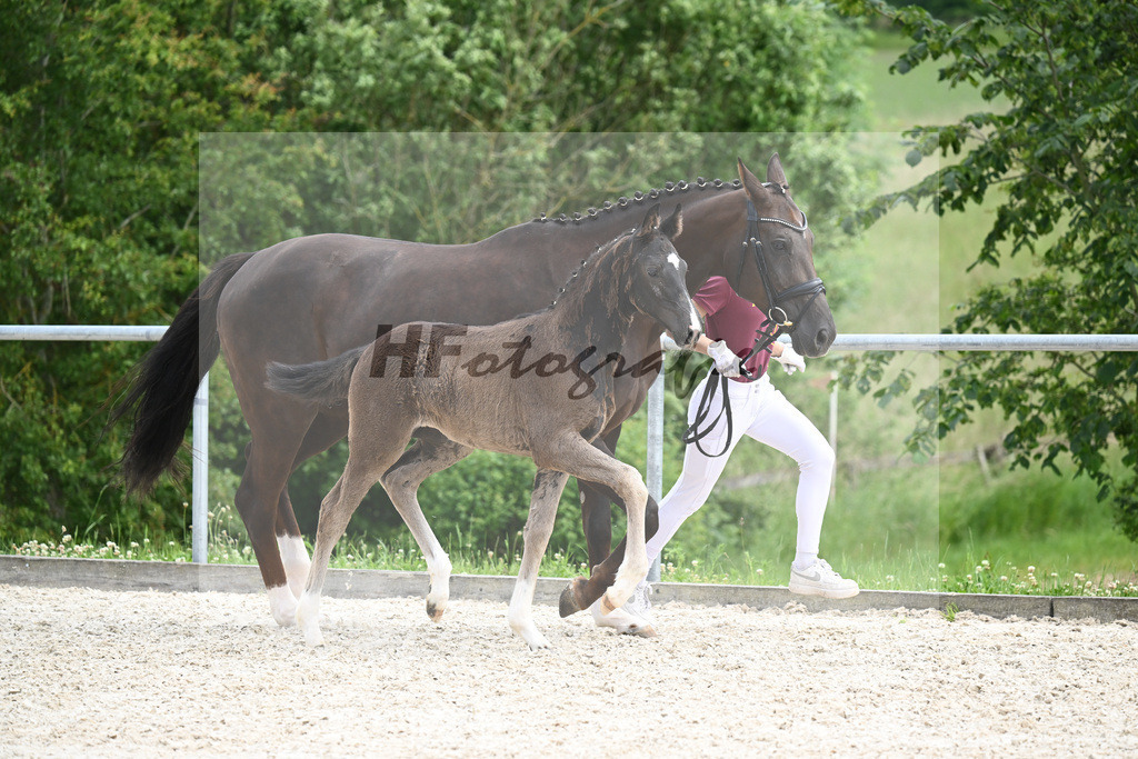 V-Power x Floricello_SF_Koller_20240693 | hf-fotografie - Realisiert mit Pictrs.com