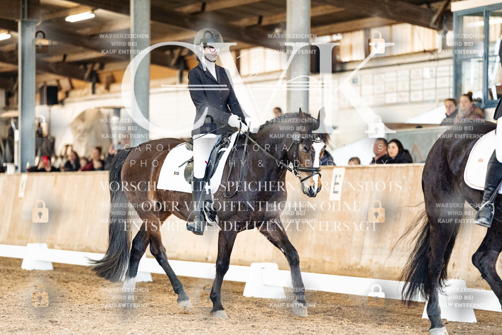 CK909737 | Turnierfotografie Pferdefotografie Trier Rheinland-Pfalz Pferdesport Reitsport Tierfotografie Sportfotografie Pferdevideo Pferdevideografie Equestrianvideography equestrianphotography  - Realisiert mit Pictrs.com