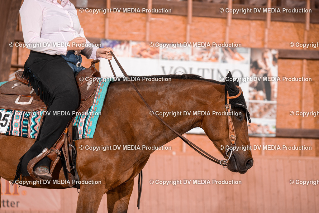 NE100205 | dv-media-shop - Realisiert mit Pictrs.com