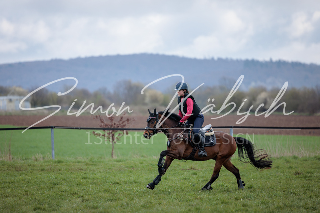 20260329-_3LI4571 | Tierfotografie Pferde, Hunde, Katzen, Haustiere.
Turnierfotografie Reitturniere, Reiten, Springreiten, Dressur in Hanau, dem Main-Kinzig-Kreis und dem Rhein-Main- Gebiet um Frankfurt