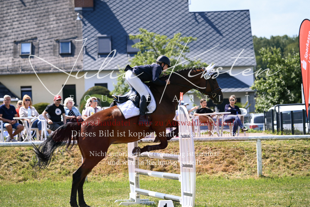 DSC_0464 | Pferde- und Turnierfotografie in Westsachsen. Pferdeportraits, Auftragszeichnungen und intuitive Kunst.