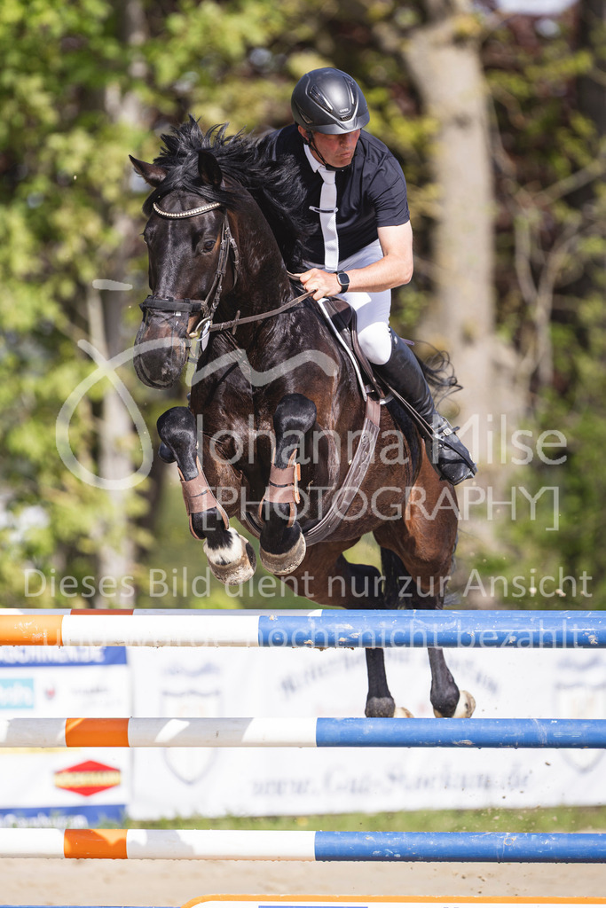 260503_Spenge_7_M2-Spr-m-steig-Anf-748 | Deine schönsten Turniermomente als professionelle Fotos! Entdecke hochwertige Pferdesport-Fotografie im Online-Shop. Jetzt Fotos finden & bestellen!
