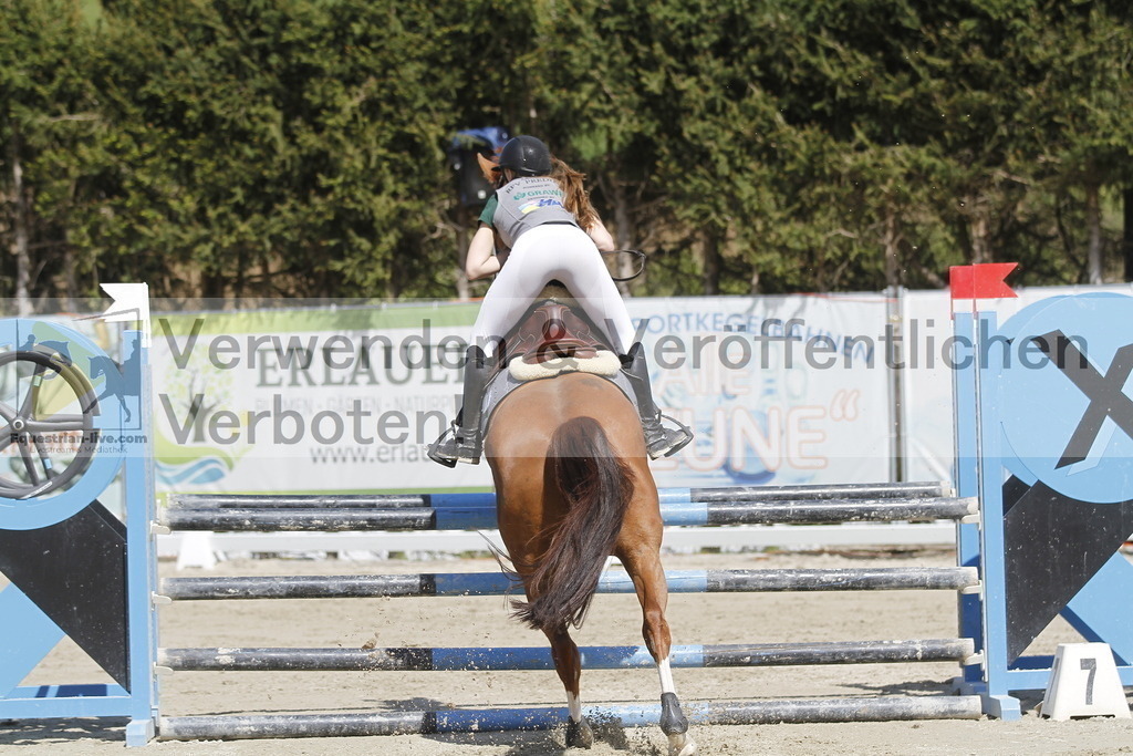 _MG_6830 | equestrian-live-com