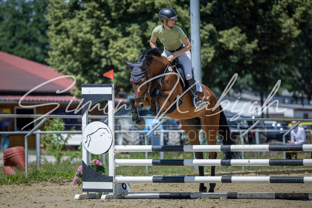 20260704-_3LI8552 | Tierfotografie Pferde, Hunde, Katzen, Haustiere.
Turnierfotografie Reitturniere, Reiten, Springreiten, Dressur in Hanau, dem Main-Kinzig-Kreis und dem Rhein-Main- Gebiet um Frankfurt