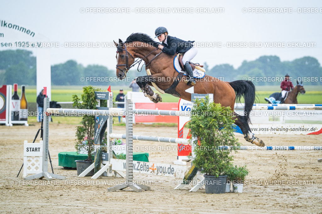 DSC09908 | Pferdegrafie