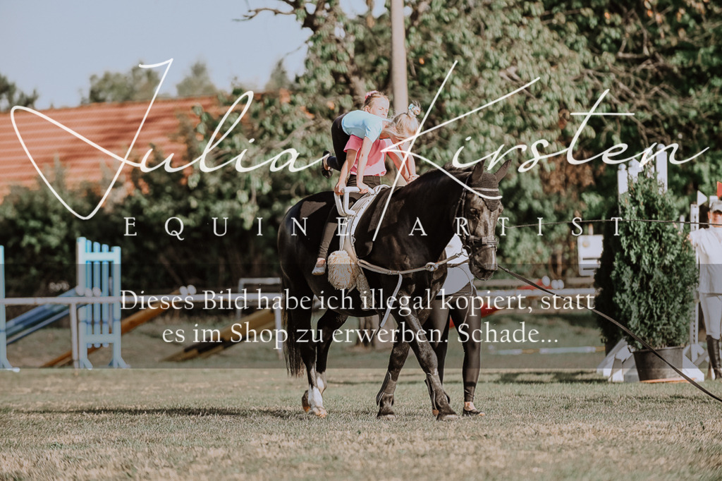 DSC_9959 | Pferde- und Turnierfotografie in Westsachsen. Pferdeportraits, Auftragszeichnungen und intuitive Kunst.