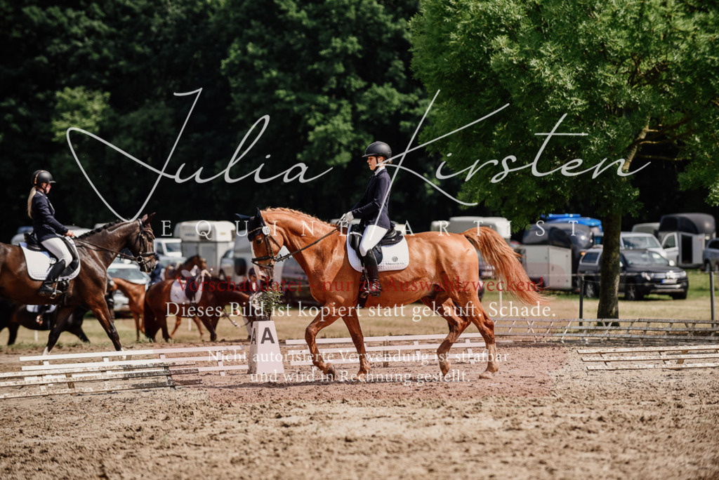 DSC_0010 | Pferde- und Turnierfotografie in Westsachsen. Pferdeportraits, Auftragszeichnungen und intuitive Kunst.