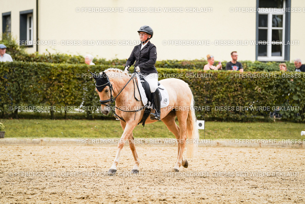 DSC00135 | Pferdegrafie