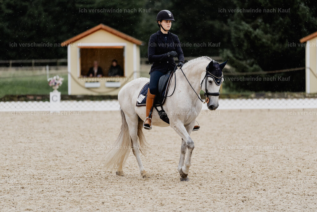 Svea13FHC2025-8384 | working equitationturnier fotograf videograf stoibphotography marixx film working equitation deutschland reitsport turnierfotografie eventfotografie equestrian events