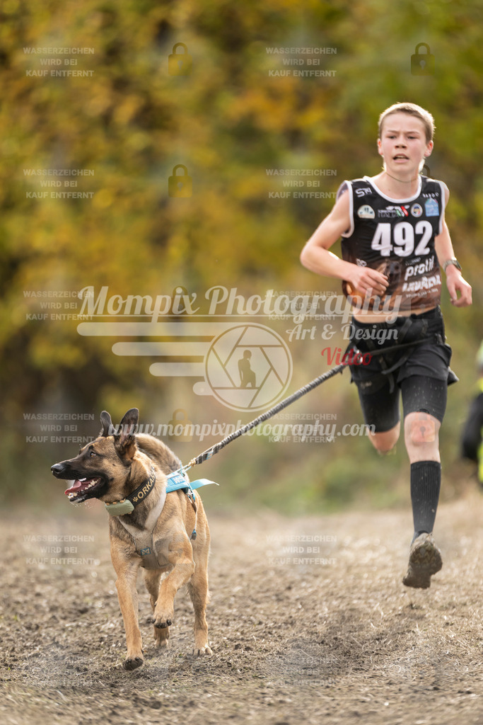 MompixPhotography_ICF_WC_2024_SA_Run_-511 | PayLife