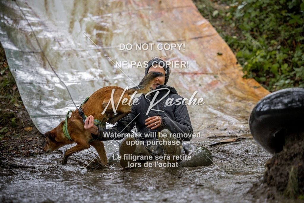 nelerasche_Hunsrück_Sa1430-1500_294-final | nelerasche