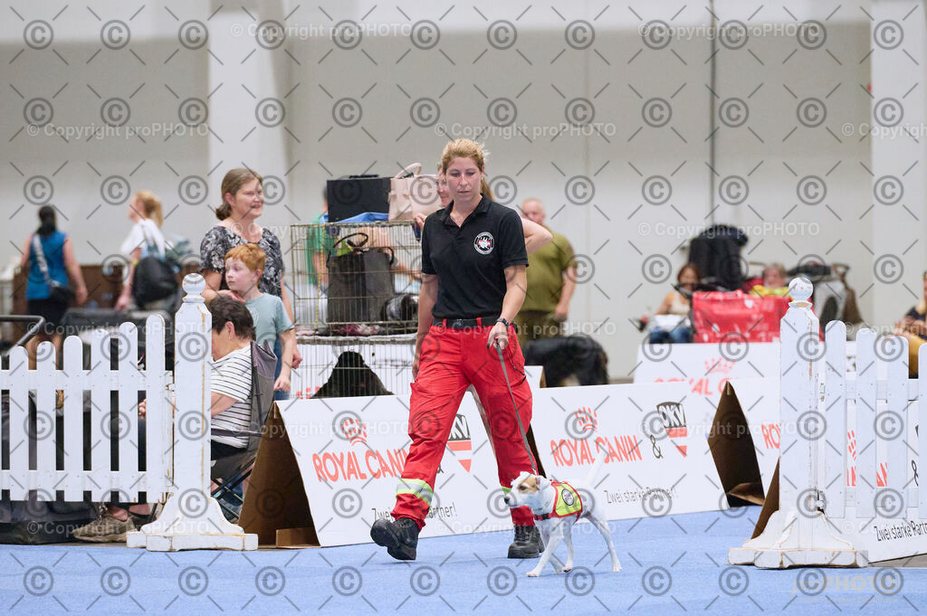 202406_ÖKV-IHA-Tulln24_DSC_3484 | proPHOTO - Realisiert mit Pictrs.com