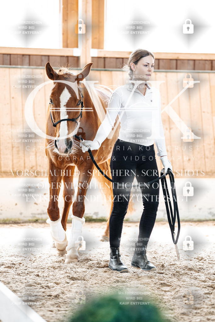 CK906942 | Turnierfotografie Pferdefotografie Trier Rheinland-Pfalz Pferdesport Reitsport Tierfotografie Sportfotografie Pferdevideo Pferdevideografie Equestrianvideography equestrianphotography  - Realisiert mit Pictrs.com