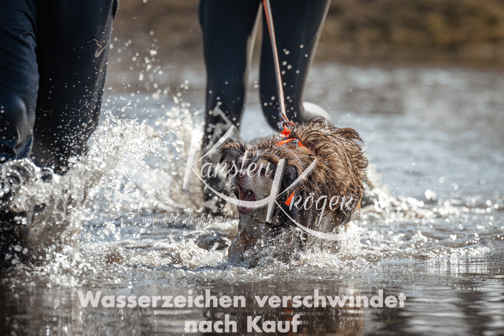 1127_ZZ94674 | kk-dogfotos