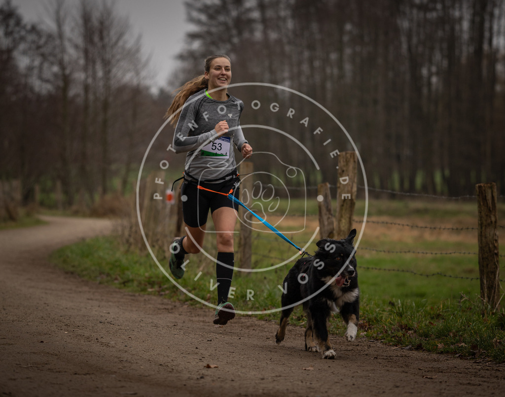 Pfotenfotografie_DV3A2942 | Hundefotografie, Tierfotograf, Pfotenfotografie, Fotoshooting Hund, Hunde Portrait, Hundesport, Hundeportraits, Heideshooting, Hunde, Sportfotograf, Hundefotograf, Turnierhundsport, THS,  - Realisiert mit Pictrs.com