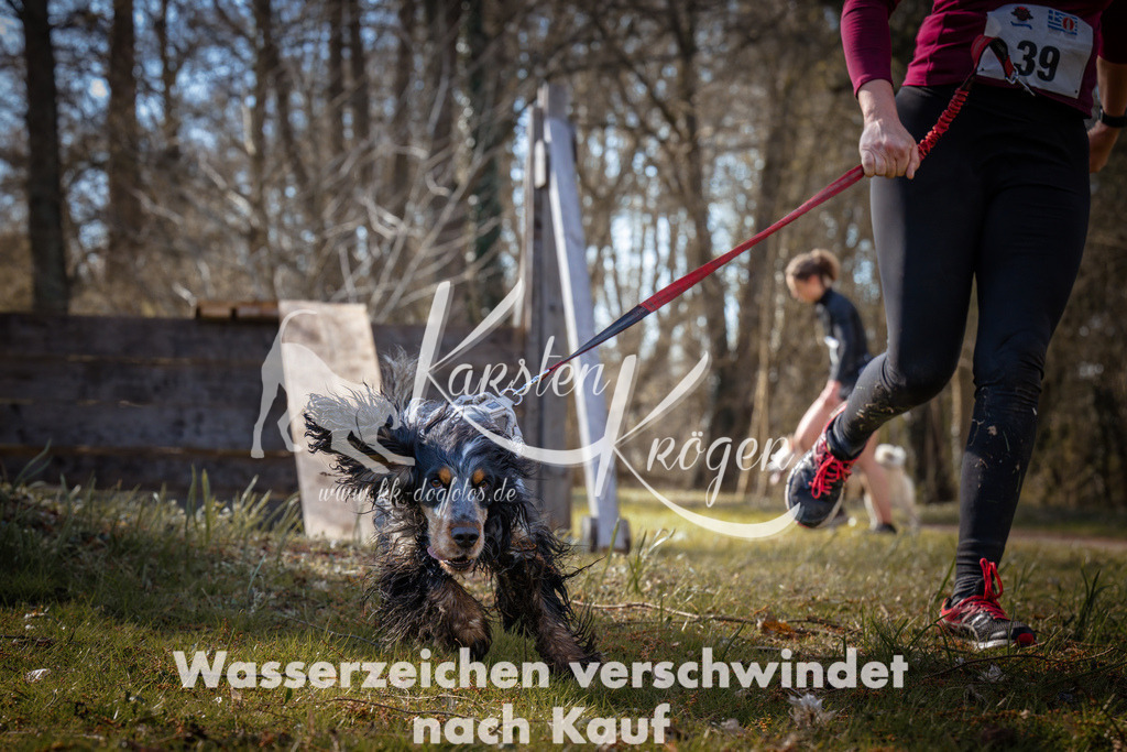 0916_ZZ94576 | kk-dogfotos