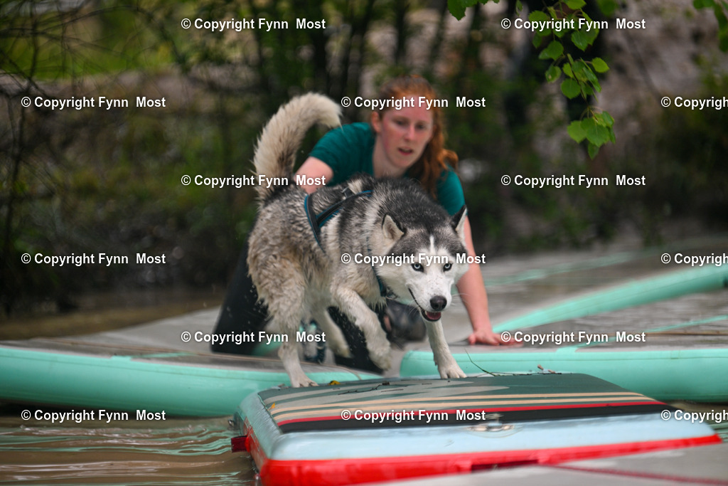 DSC_3127 | Hallo und herzlich Willkommen auf meiner Shop-Seite Fynn Most.

Ich wünsche Dir viel Spaß beim stöbern durch die Bilder, wenn Du Fragen hast oder Bilder vermisst, kannst du mir gerne eine Nachricht schreiben. - Realisiert mit Pictrs.com
