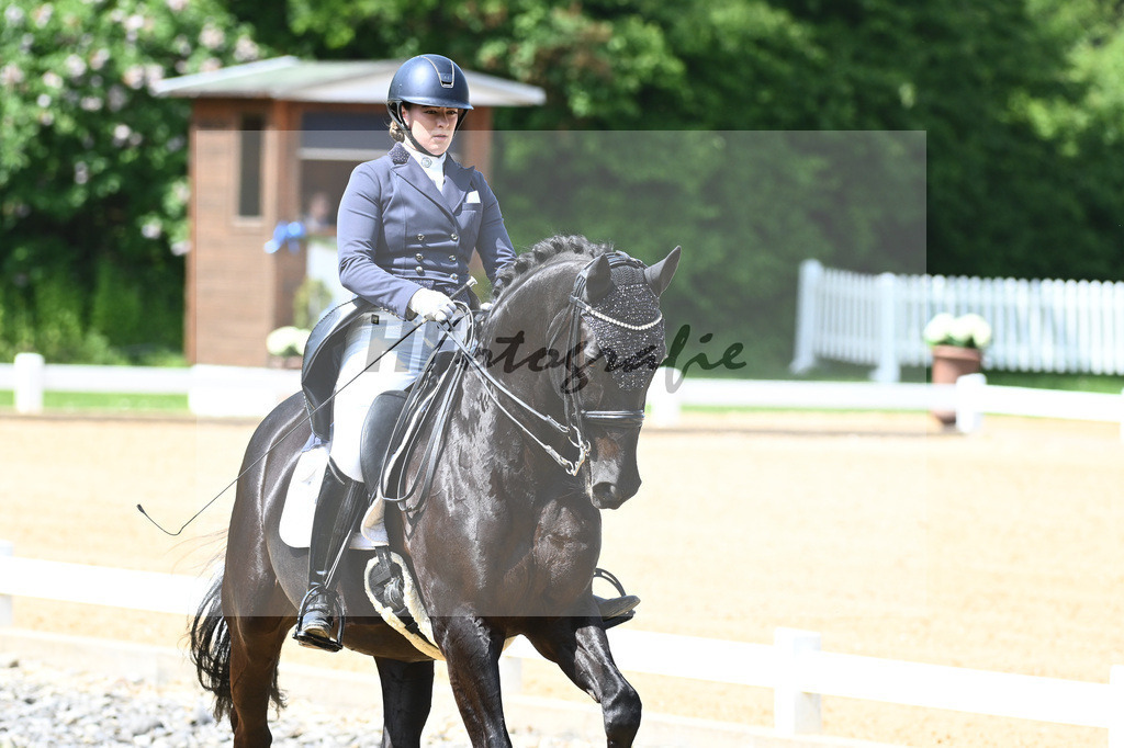 Merk_Sambuco_12243626 | hf-fotografie - Realisiert mit Pictrs.com