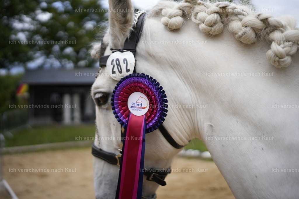 PI26_Sehrung_COW_Stoibphotography_A749851.JPG | working equitationturnier fotograf videograf stoibphotography marixx film working equitation deutschland reitsport turnierfotografie eventfotografie equestrian events