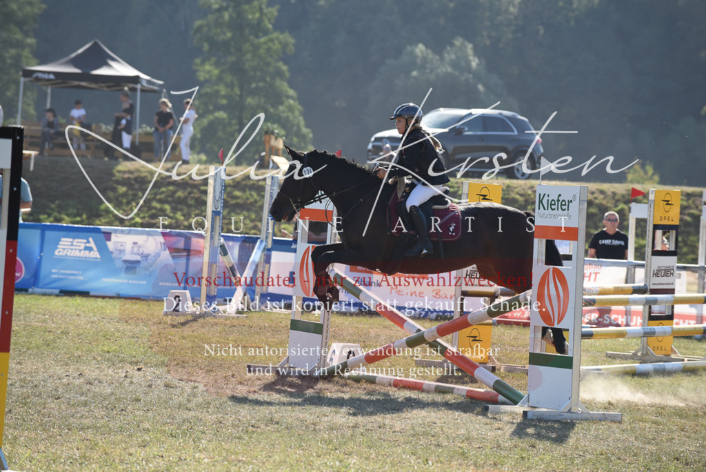 DSC_5850 | Pferde- und Turnierfotografie in Westsachsen. Pferdeportraits, Auftragszeichnungen und intuitive Kunst.