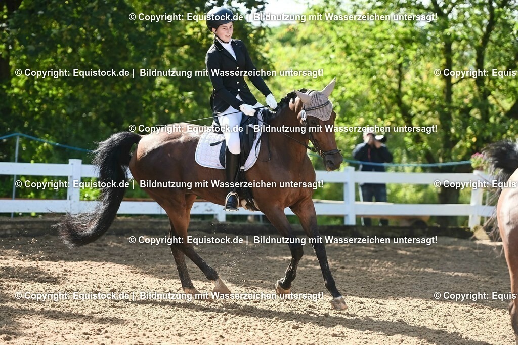 20230716_04_Dressurreiterprüfung Kl.A_0115 | equistock