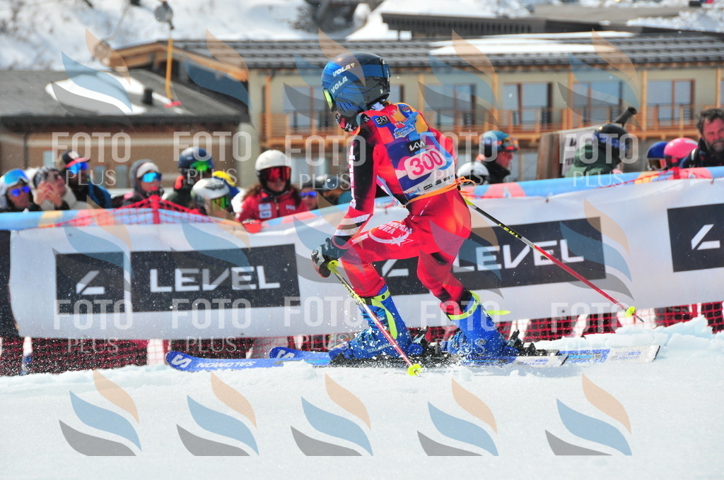 DSC_6558 | holidayphoto