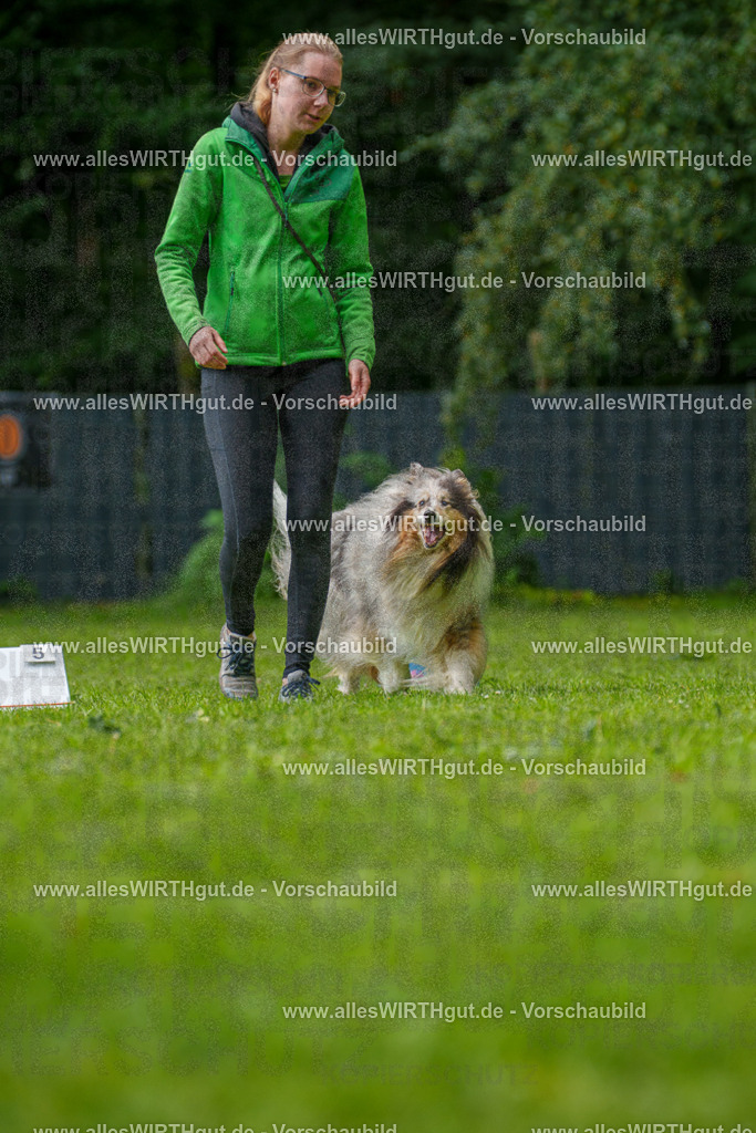 @allesWIRTHgut_Tierfotografie - www.allesWIRTHgut.de - 083400-7R506353 | Professionelle Tierfotografie in Mönchengladbach von Daniel Wirth (allesWIRTHgut). Liebevolle & natürliche Bilder von Hunden & Katzen für unvergessliche Erinnerungen.