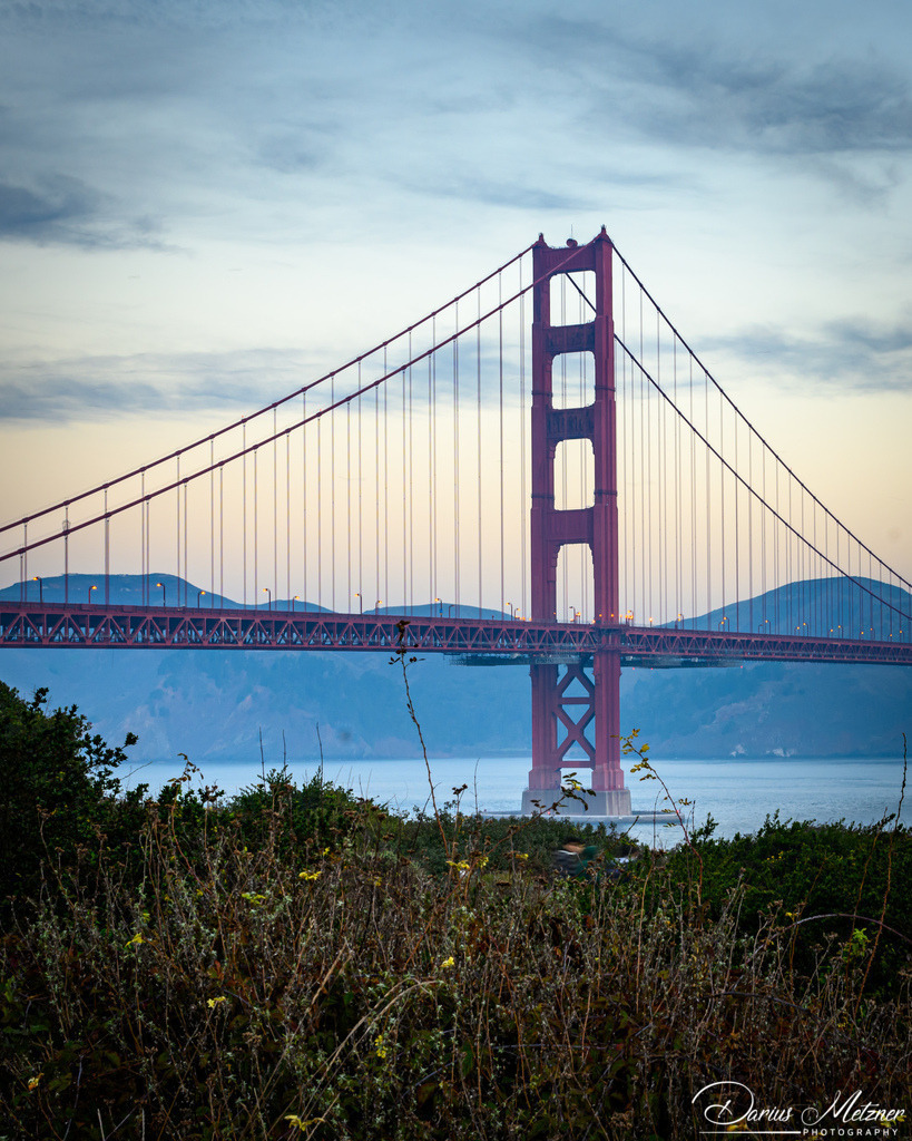 DSC_8425 2 | Fotografien, Fotos und Bilder aus Mainz, Frankfurt, Wiesbaden und anderen Orten auf der Welt - Fotografiert von Darius Metzner