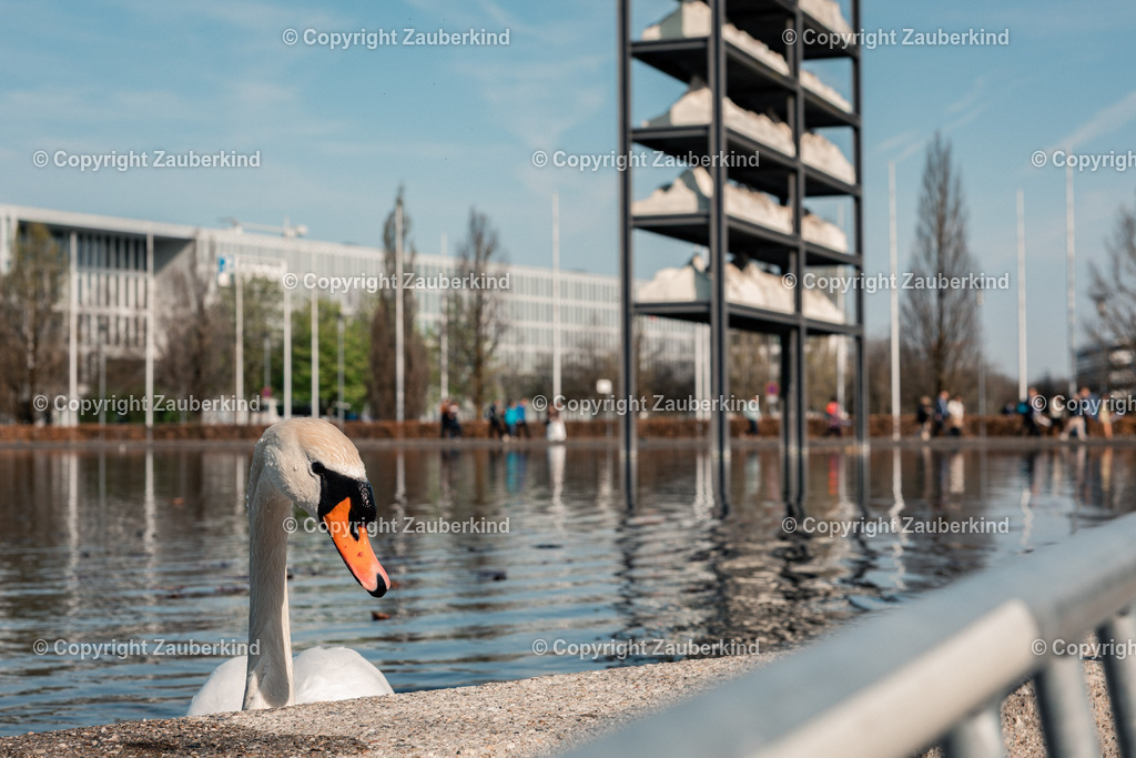 20260418-0933-ElisaFinke-2516 | zauberkind