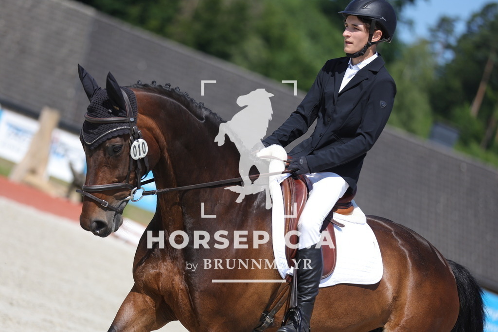 0P6A0210 | Willkommen bei Brunnmayr - Design & Fotografie – Ihrem Spezialisten für Reitturniere und Pferdeveranstaltungen in Oberösterreich, Salzburg und Bayern! Seit über 17 Jahren sind wir leidenschaftlich dabei.