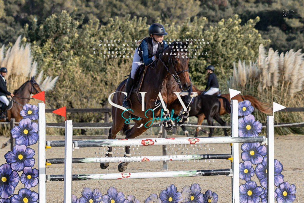 IMG_0325 | s-jay-photography - Realisiert mit Pictrs.com