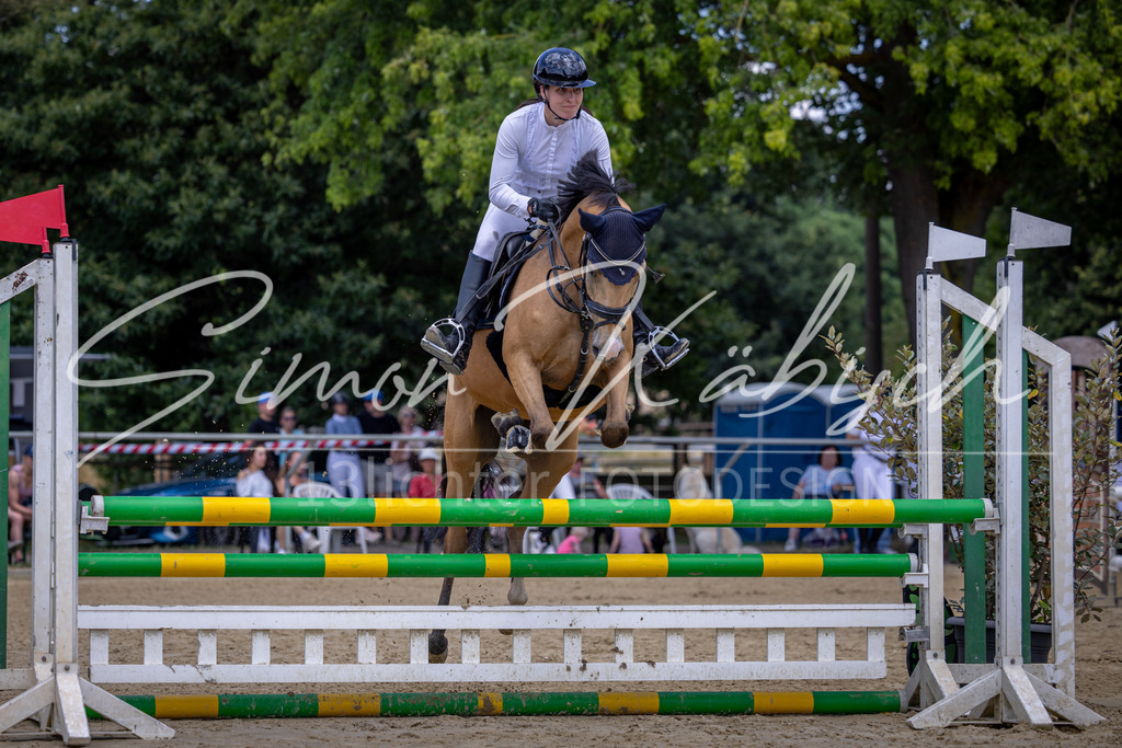 20260704-_3LI9299 | Tierfotografie Pferde, Hunde, Katzen, Haustiere.
Turnierfotografie Reitturniere, Reiten, Springreiten, Dressur in Hanau, dem Main-Kinzig-Kreis und dem Rhein-Main- Gebiet um Frankfurt