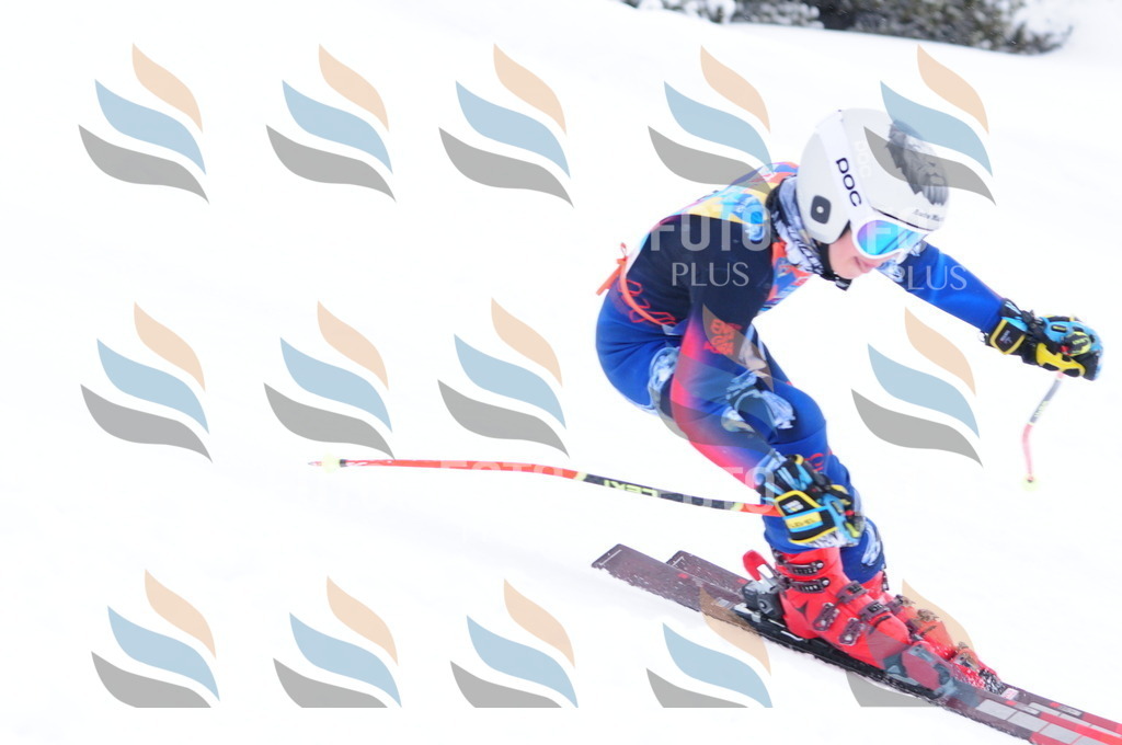 C4275 | holidayphoto