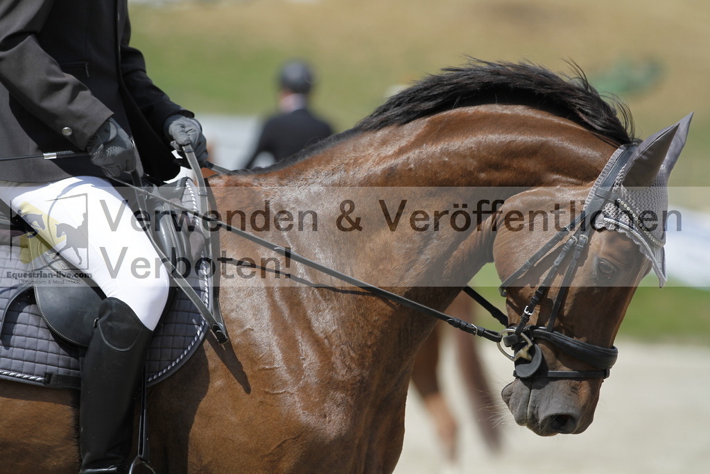 _MG_7674 | equestrian-live-com