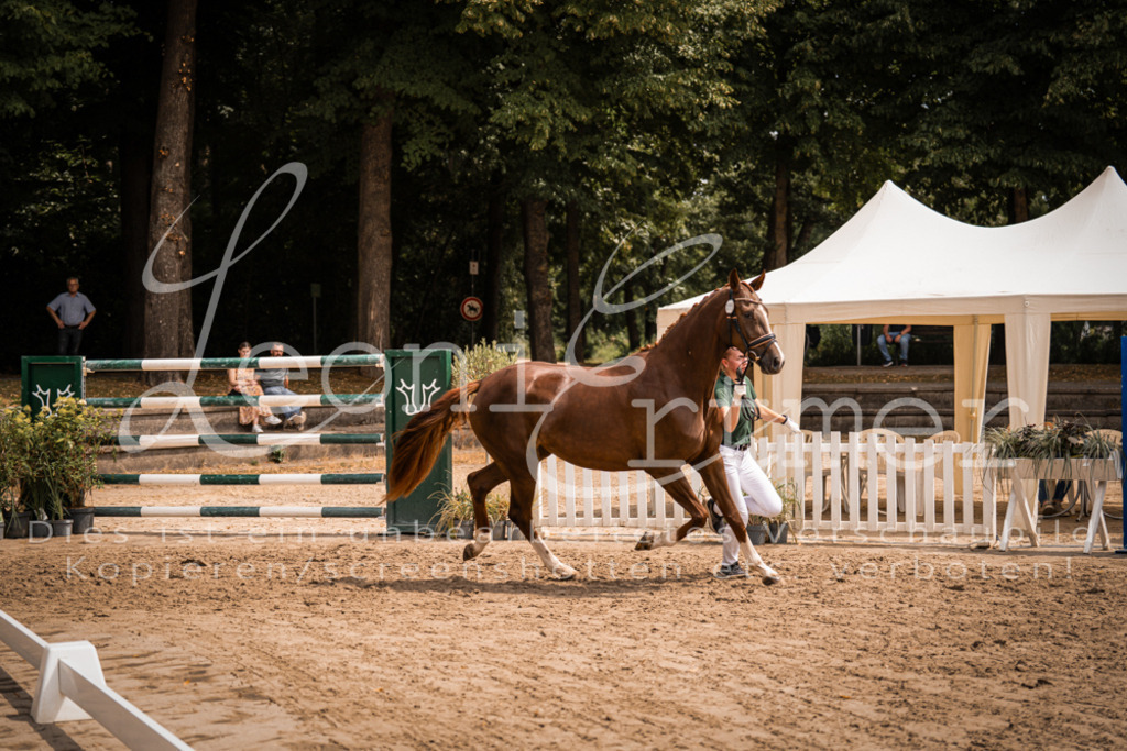 3.Fr00071 | Leoni Ertmer Photography - Realisiert mit Pictrs.com