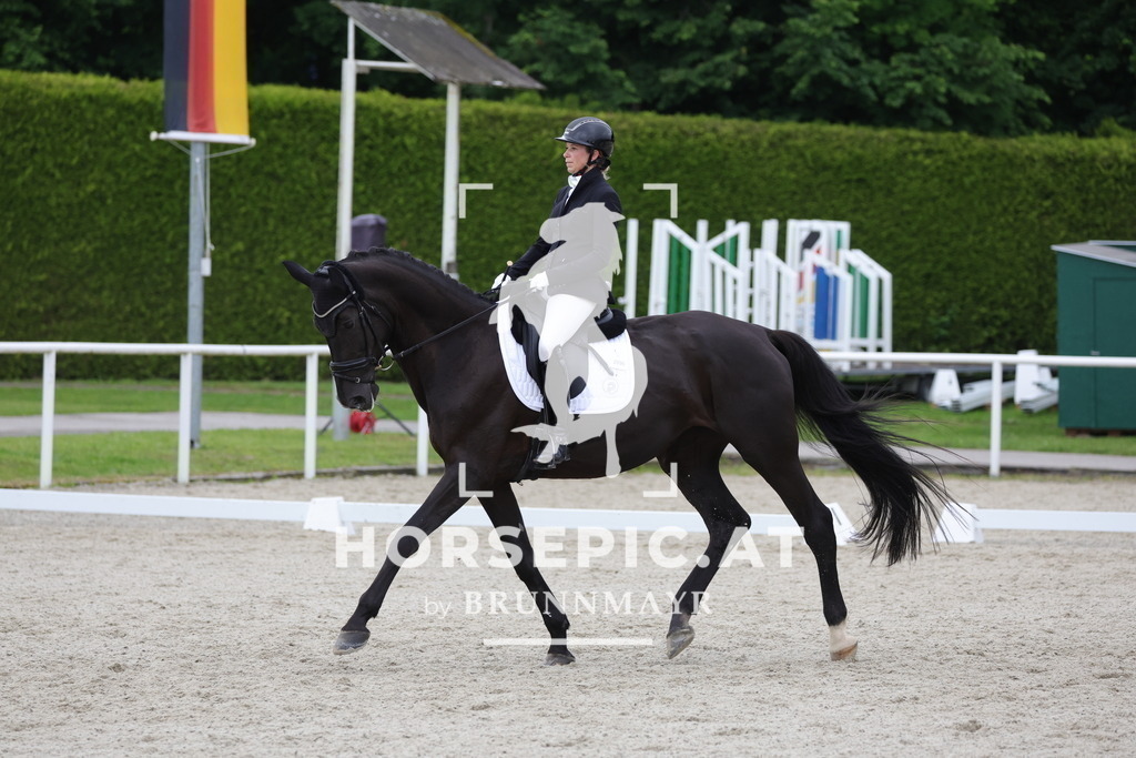 0P6A6120 | Willkommen bei Brunnmayr - Design & Fotografie – Ihrem Spezialisten für Reitturniere und Pferdeveranstaltungen in Oberösterreich, Salzburg und Bayern! Seit über 17 Jahren sind wir leidenschaftlich dabei.