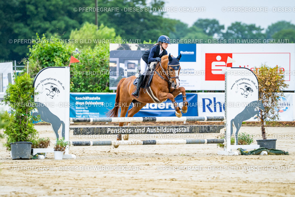 DSC01222 | Pferdegrafie