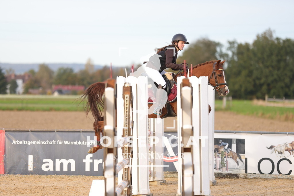 0P6A7215 | Willkommen bei Brunnmayr - Design & Fotografie – Ihrem Spezialisten für Reitturniere und Pferdeveranstaltungen in Oberösterreich, Salzburg und Bayern! Seit über 17 Jahren sind wir leidenschaftlich dabei.
