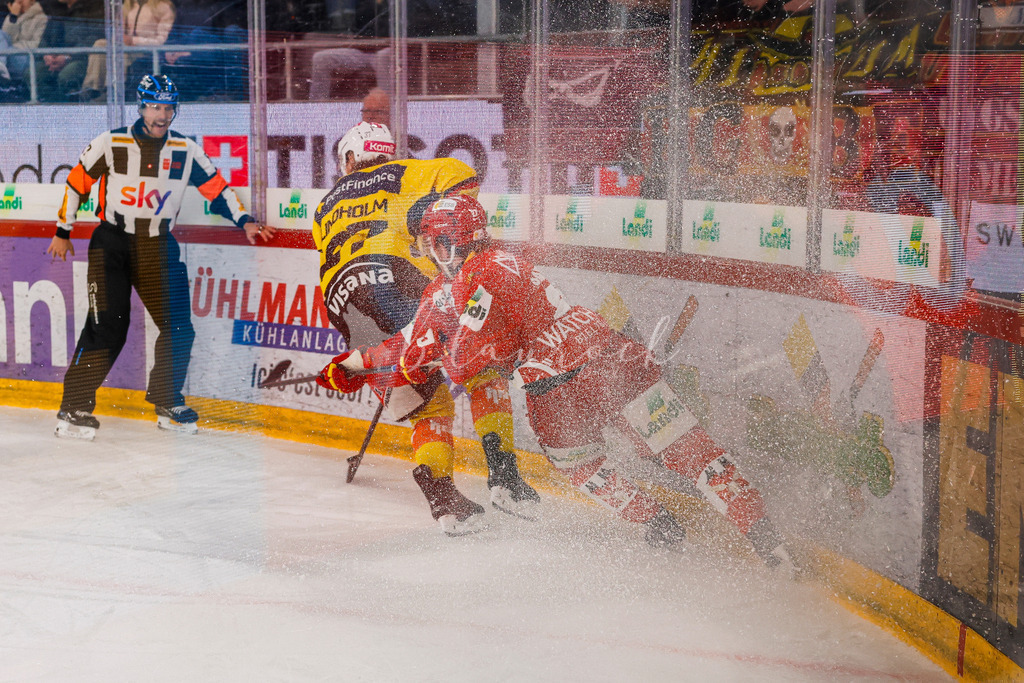 EHCB vs SCB 20260110_wb-3274 | Sportbilder, Sportfotograf, Hochzeits- und Eventfotografin, Flugshows, Portraits und Tiershooting, Aviation, Downhill, Nationalleague, Swissleague, International